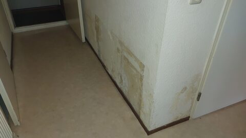 Zelf een waterlekkage opsporen
