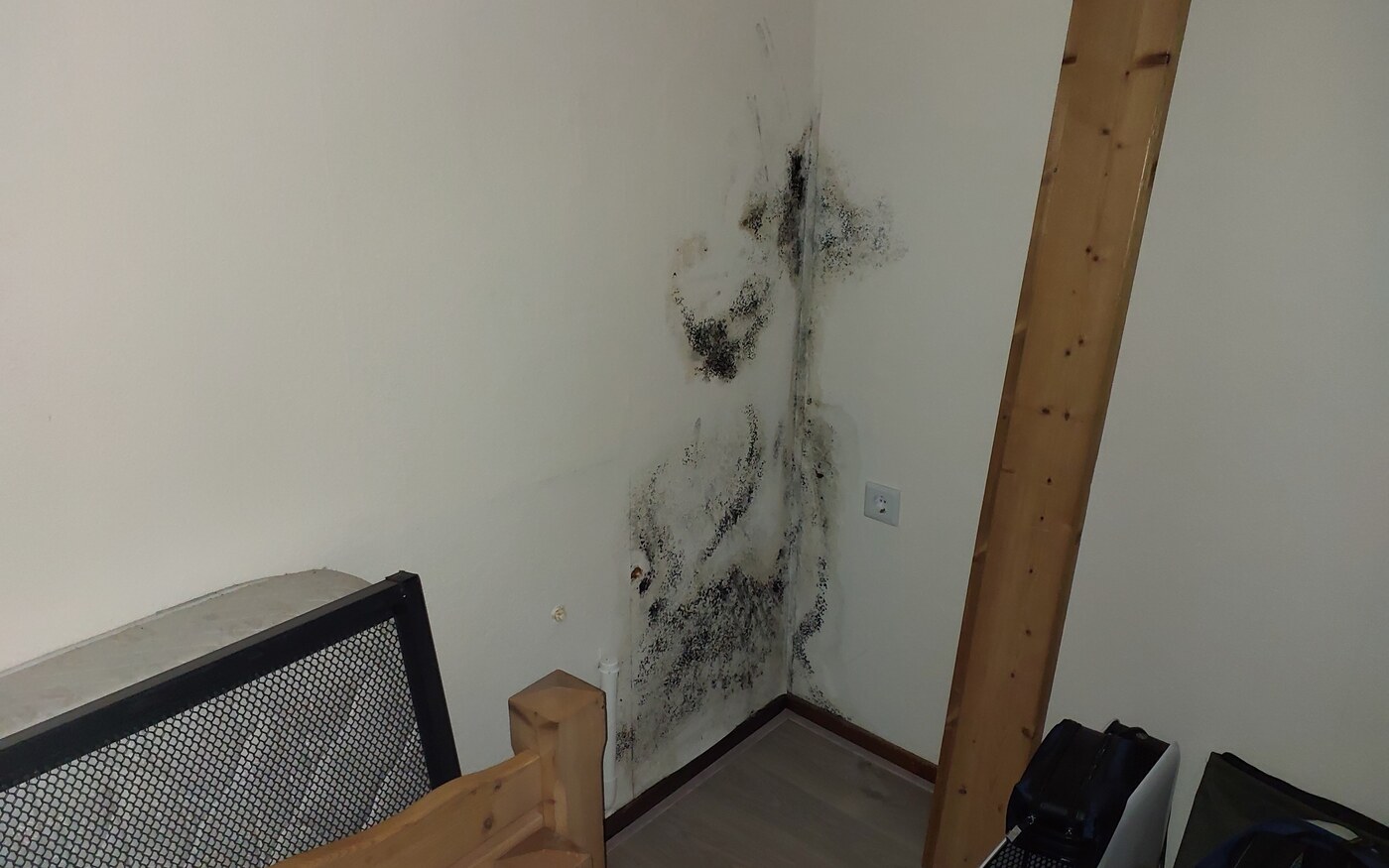 Schimmelvorming door lekkage, oorzaken, gevolgen en oplossingen